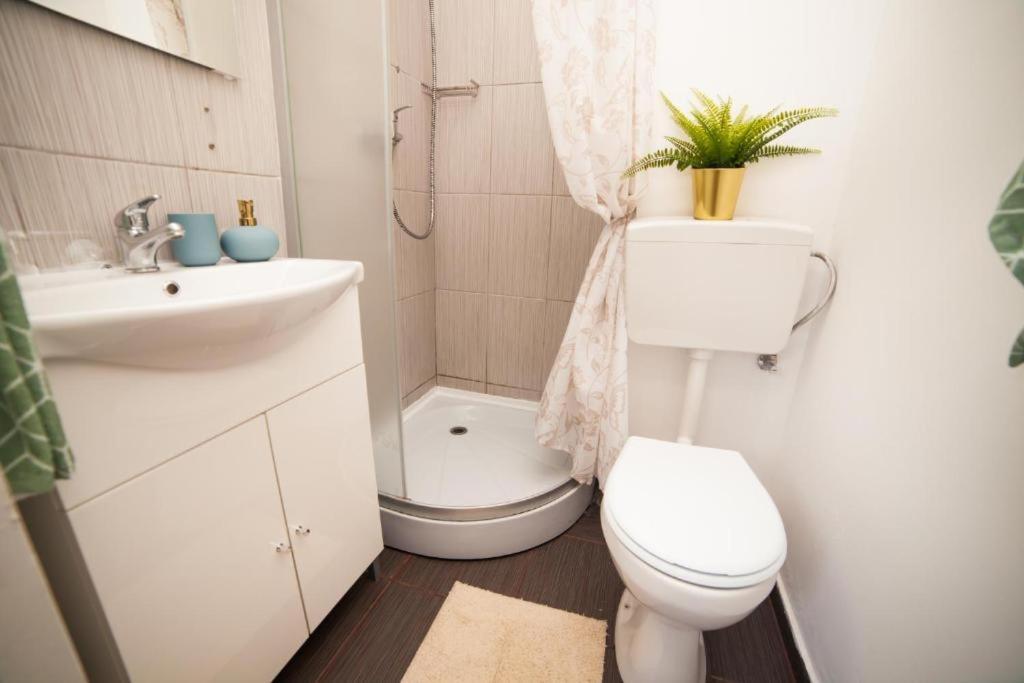 Guesthouse Smart Bucureşti Ngoại thất bức ảnh